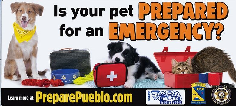 Image depicts Pet Preparedness.  Is your pet prepared for an emergency?
